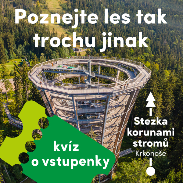 Stezka korunami stromů