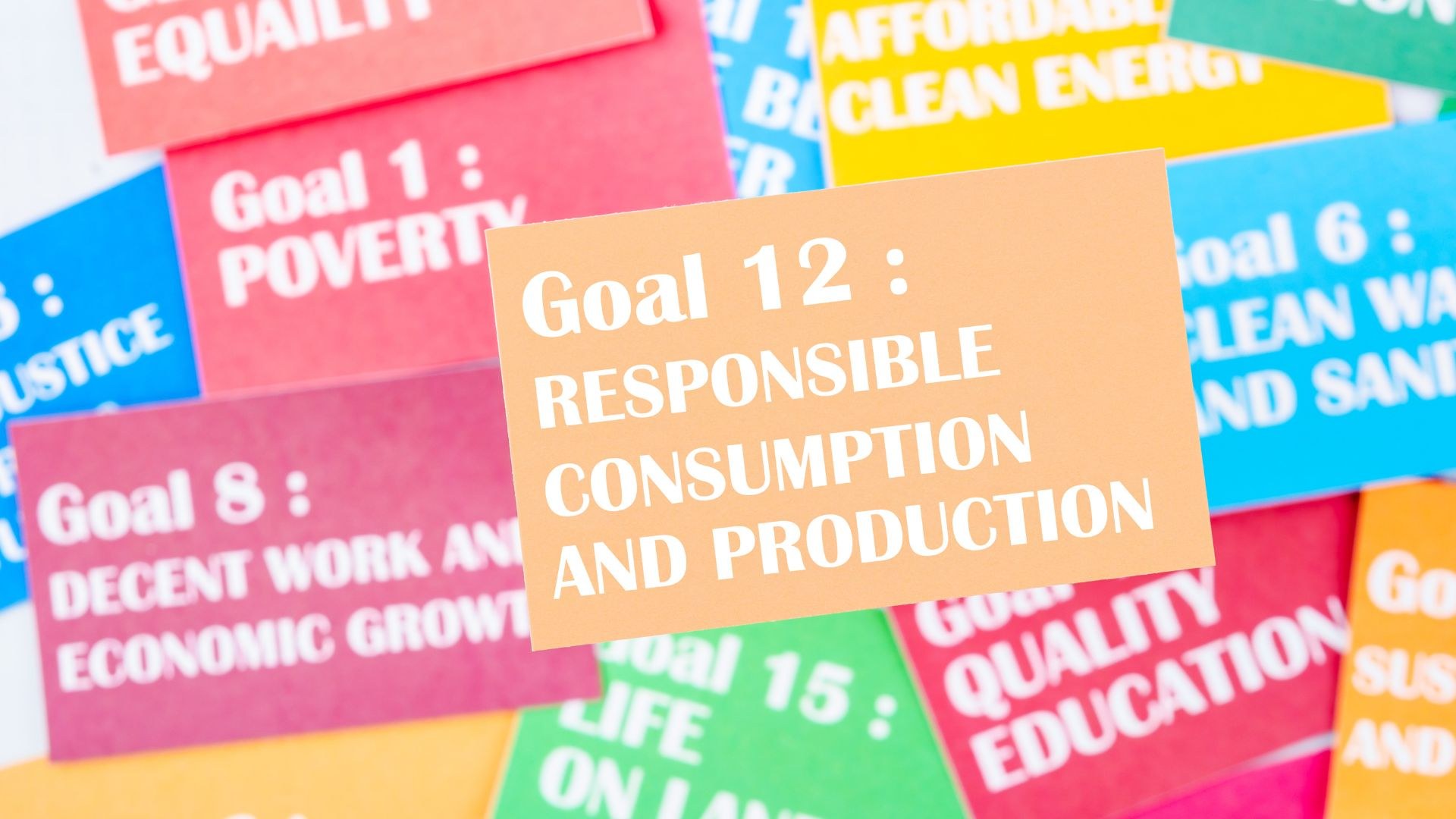 Co jsou cíle SDGs? Žáci hádali otázky na téma udržitelnost